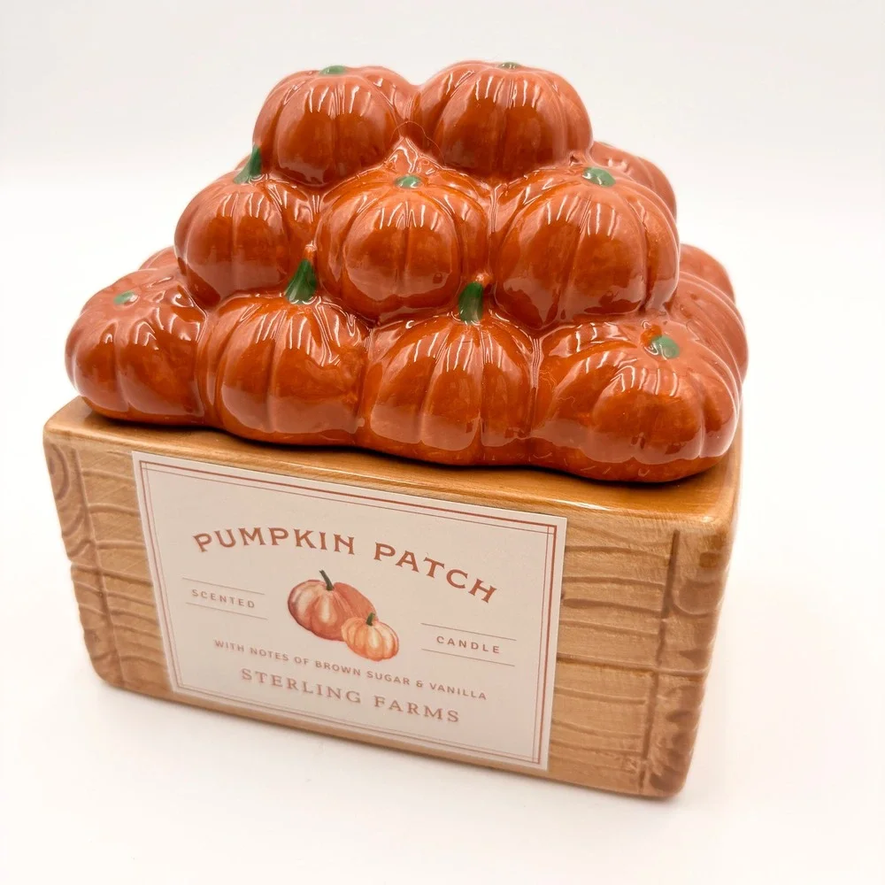 Sterling Farms Pumpkin Patch Scented 2 Wick Candle Ceramic Pumpkin Crate Jar